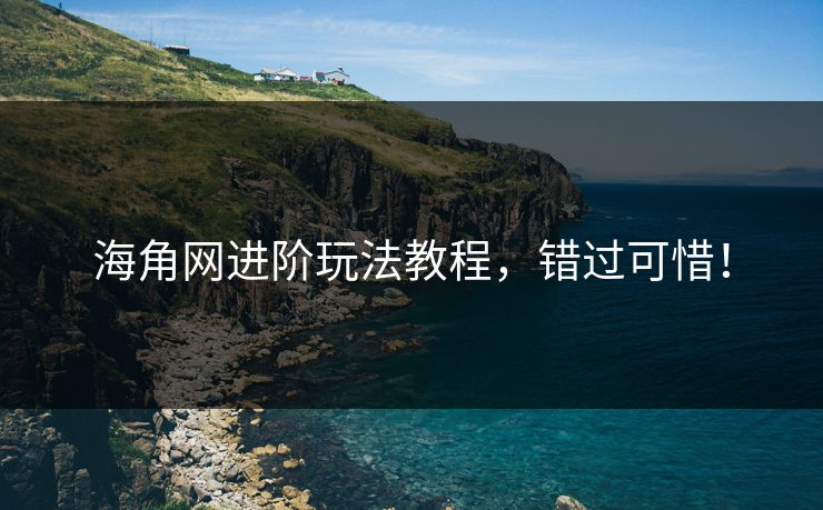海角网进阶玩法教程,错过可惜!