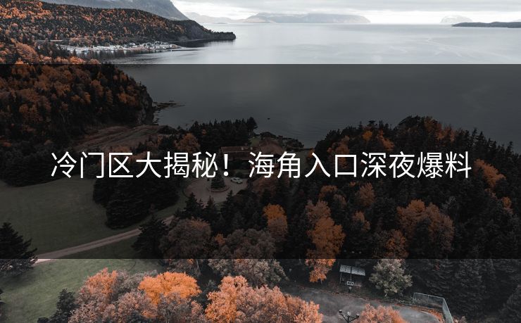 冷门区大揭秘！海角入口深夜爆料