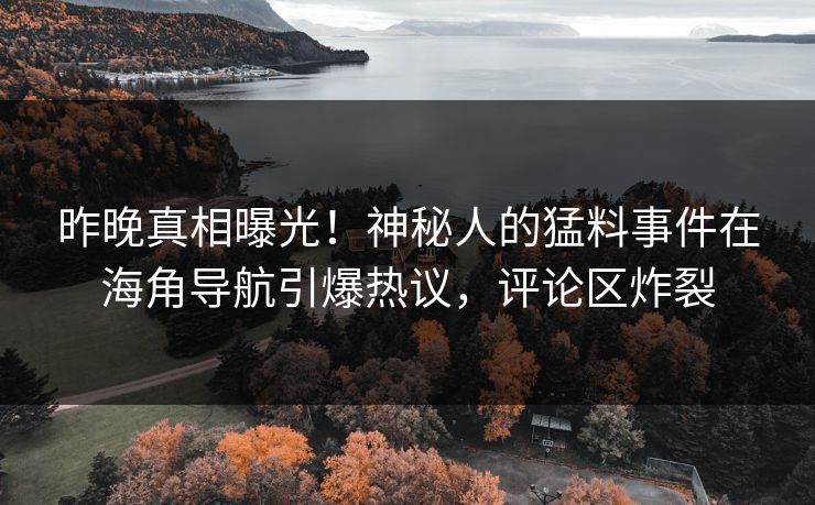 昨晚真相曝光！神秘人的猛料事件在海角导航引爆热议，评论区炸裂