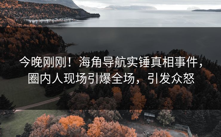 今晚刚刚！海角导航实锤真相事件，圈内人现场引爆全场，引发众怒