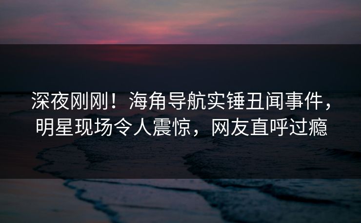 深夜刚刚！海角导航实锤丑闻事件，明星现场令人震惊，网友直呼过瘾