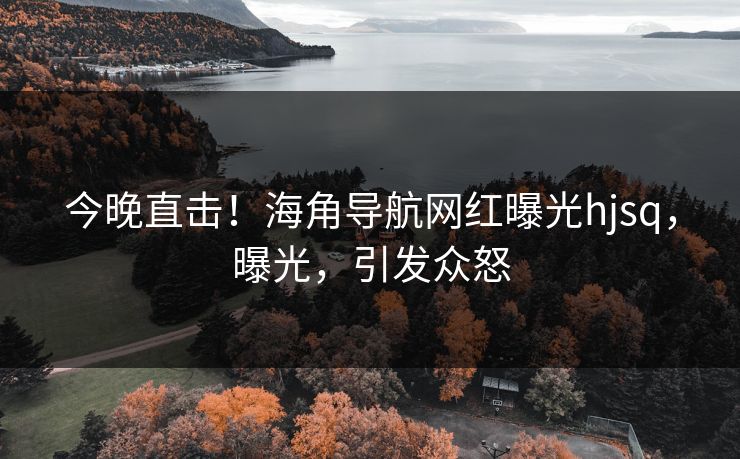 今晚直击！海角导航网红曝光hjsq，曝光，引发众怒
