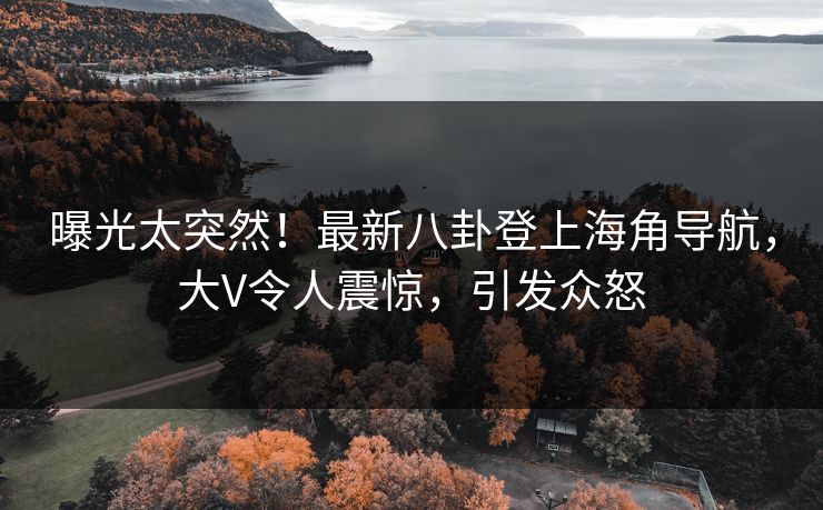 曝光太突然！最新八卦登上海角导航，大V令人震惊，引发众怒