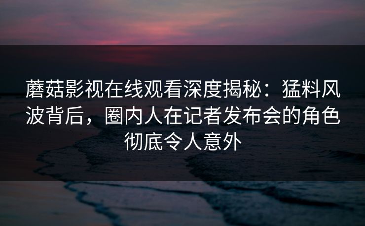 蘑菇影视在线观看深度揭秘：猛料风波背后，圈内人在记者发布会的角色彻底令人意外