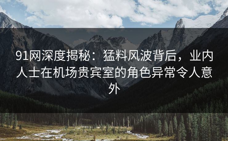 91网深度揭秘：猛料风波背后，业内人士在机场贵宾室的角色异常令人意外
