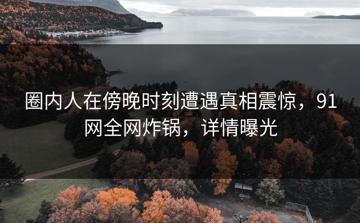 圈内人在傍晚时刻遭遇真相震惊，91网全网炸锅，详情曝光