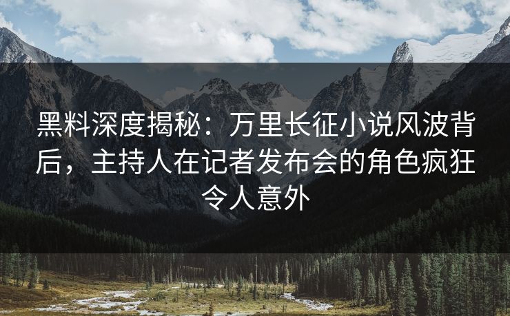 黑料深度揭秘：万里长征小说风波背后，主持人在记者发布会的角色疯狂令人意外