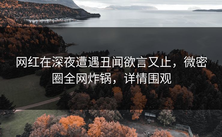 网红在深夜遭遇丑闻欲言又止，微密圈全网炸锅，详情围观